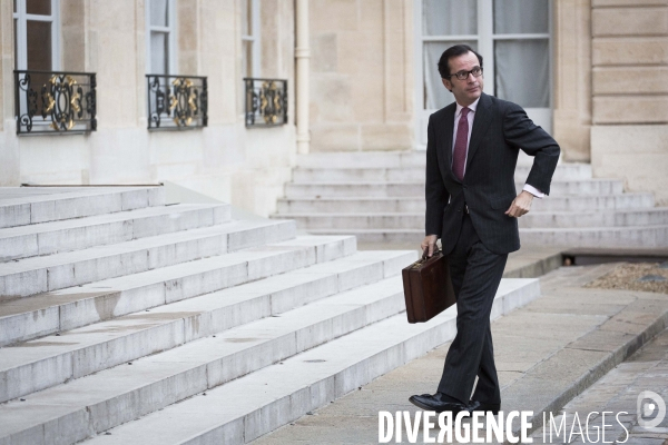 Elysee : Conseil strategique de l attractivite.