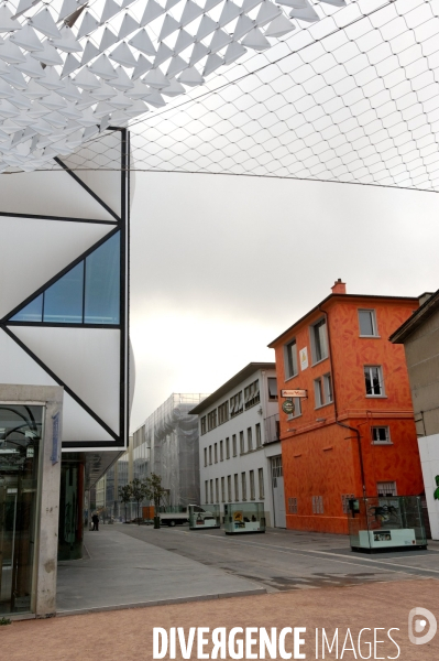 SUISSE : Les bords du Lac LEMAN