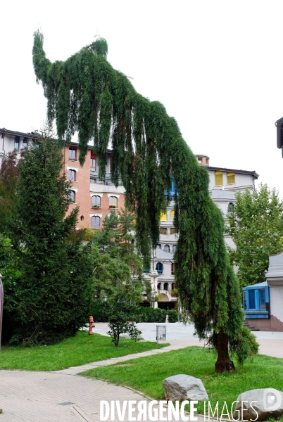 SUISSE : Les bords du Lac LEMAN