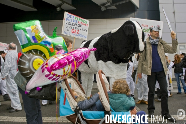 Les vaches en colère au Salon de l agriculture.Manifestation pour dénoncer le projet de ferme d elevage intensif dite des 1000 vaches en cours de construction à Drucat dans la Somme.