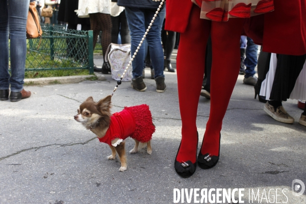 Fashion Week prêt à Porter 2014-2015. Défilé Chanel