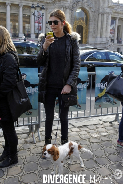 Fashion Week prêt à Porter 2014-2015. Défilé Chanel