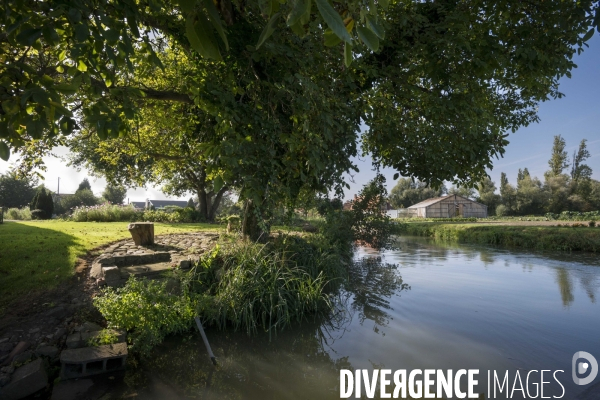 Saint-Omer (Pas de Calais) - Le Marais Audomarois