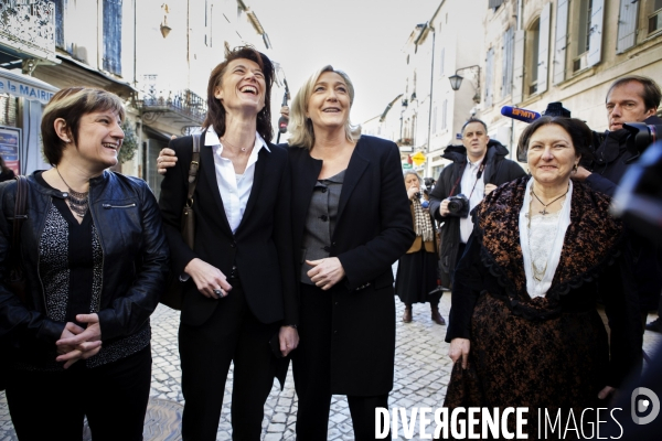 Municipales 2014. marine le pen à tarascon