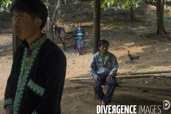Reportage au laos sur le probleme de la deforestation et l exemple d un village modele dans la region de luang prabang.