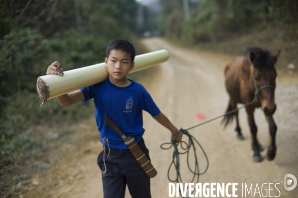 Reportage au laos sur le probleme de la deforestation et l exemple d un village modele dans la region de luang prabang.