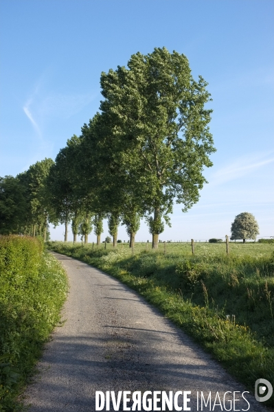 Paysages et villages du Ternois (Pas de Calais)