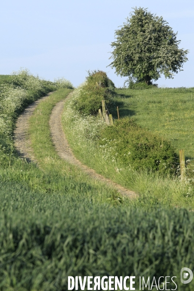 Paysages et villages du Ternois (Pas de Calais)