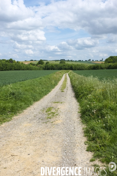 Paysages et villages du Ternois (Pas de Calais)