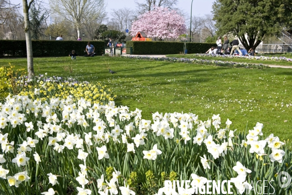 Illustration Mars 2014.Le jardin boulevard Lannes au pied de l université Paris Dauphine.