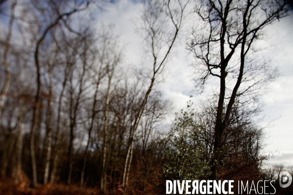 Les Vieilles Ventes # 02