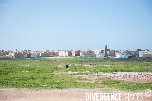 Casablanca