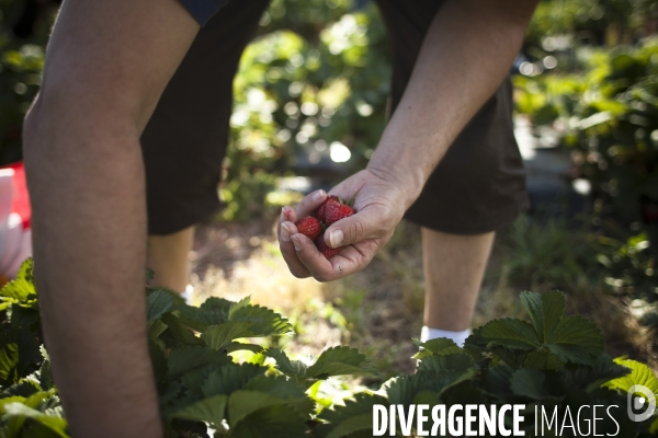 Première AMAP en France