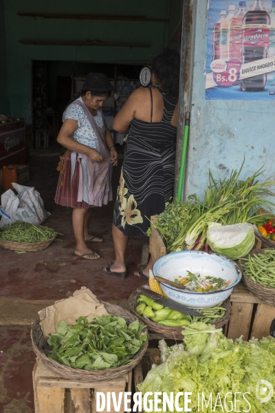 Bolivie région del Oriente