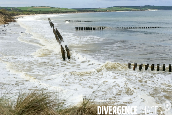 Illustration Avril 2014...Installation de mille pieux pour proteger la dune et tenter d enrayer son erosion.dans la baie de Wissant