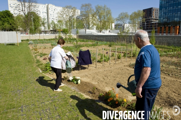 Illustration Avril 2014.Dans l eco-quartier des Docks, des habitants arrossent leur parcelle dans les jardins partages du grand parc urbain .