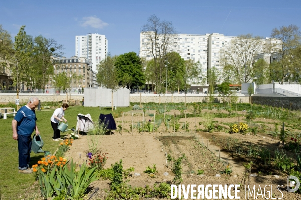 Illustration Avril 2014.Dans l eco-quartier des Docks, des habitants arrossent leur parcelle dans les jardins partages du grand parc urbain .