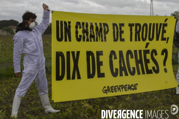 OGM Le retour des faucheurs