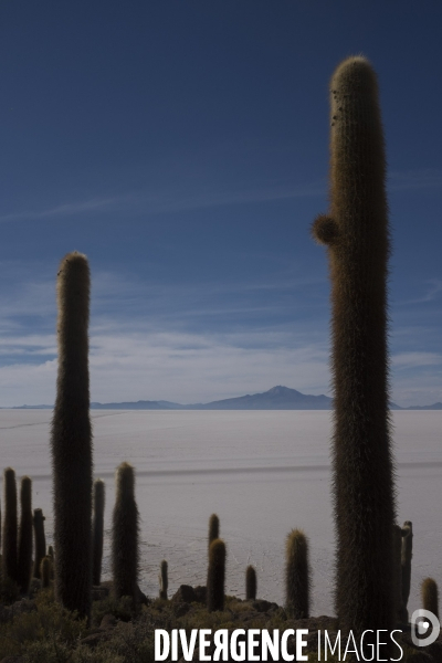 Bolivie Uyuni