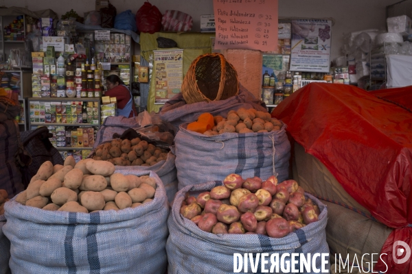 Bolivie, Sucre