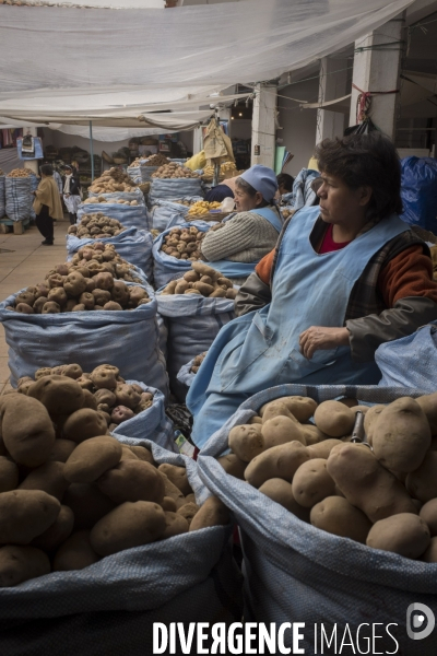 Bolivie, Sucre