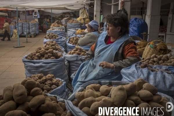 Bolivie, Sucre