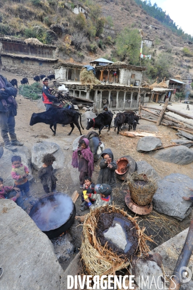 LOSAR au Népal : Danses masquées du Nouvel An à HUMLA