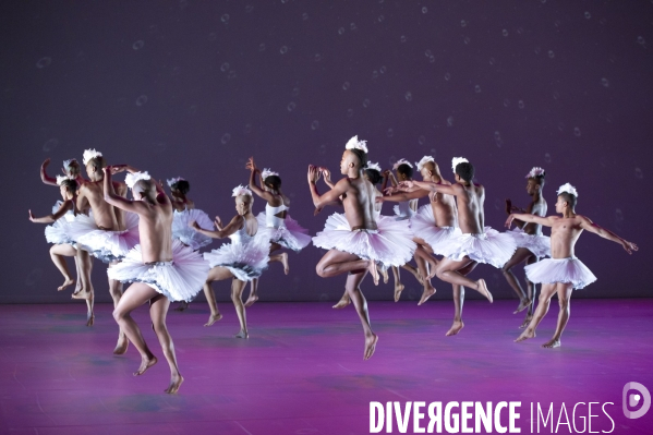 SWAN LAKE de Dada Masilo