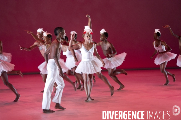 SWAN LAKE de Dada Masilo