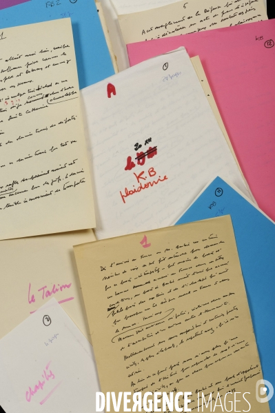 Mte Jacques VERGES : Manuscript original plaidoirie de Klaus Barbie