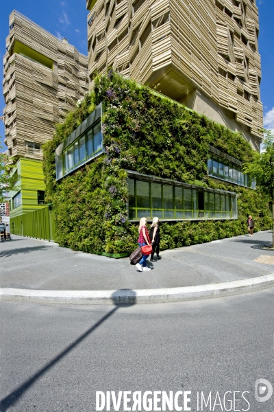 Illustration Mai 2014.La facade vegétalisee de la residence etudiante dans la zac Clichy Batignolles.La nature dans la ville