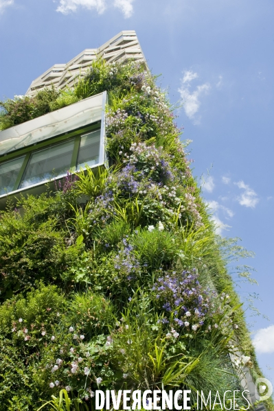 Illustration Mai 2014.La facade vegétalisee de la residence etudiante dans la zac Clichy Batignolles.La nature dans la ville