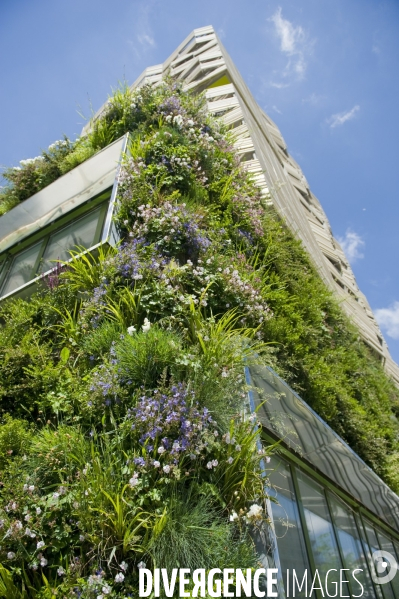 Illustration Mai 2014.La facade vegétalisee de la residence etudiante dans la zac Clichy Batignolles.La nature dans la ville