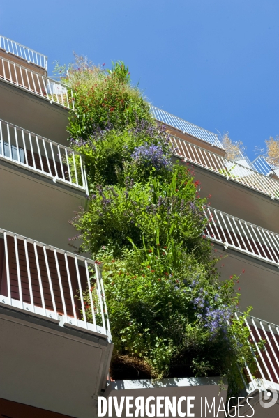 Illustration Mai 2014.Immeuble de logement neuf avec une façade vegetalisee.