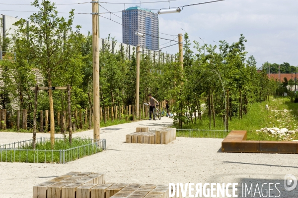 Paris plante sa premiere foret amenagee sur les delaisses du boulevard peripherique