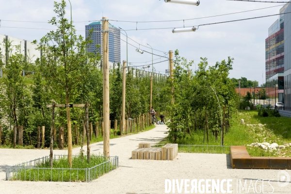 Paris plante sa premiere foret amenagee sur les delaisses du boulevard peripherique