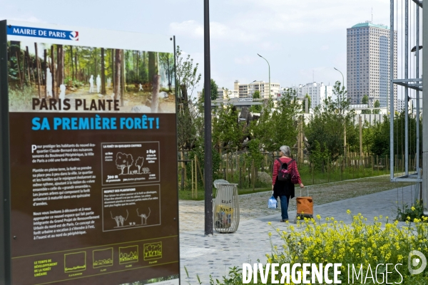 Paris plante sa premiere foret amenagee sur les delaisses du boulevard peripherique