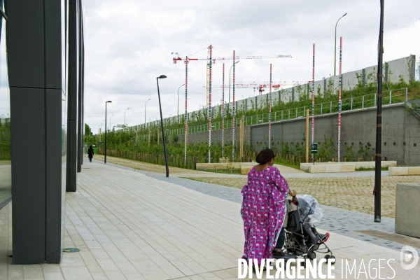 Paris plante sa premiere foret amenagee sur les delaisses du boulevard peripherique