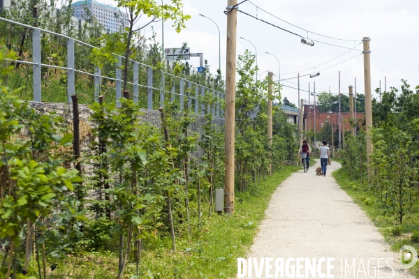 Paris plante sa premiere foret amenagee sur les delaisses du boulevard peripherique