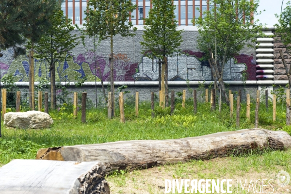 Paris plante sa premiere foret amenagee sur les delaisses du boulevard peripherique