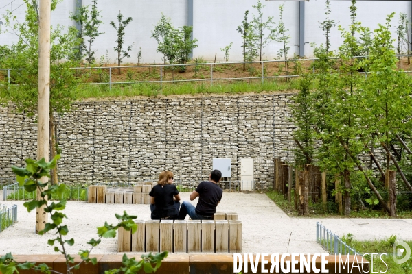 Paris plante sa premiere foret amenagee sur les delaisses du boulevard peripherique