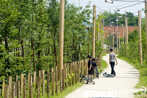 Paris plante sa premiere foret amenagee sur les delaisses du boulevard peripherique