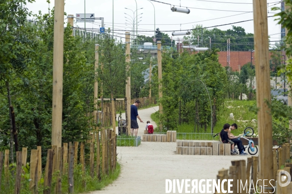 Paris plante sa premiere foret amenagee sur les delaisses du boulevard peripherique