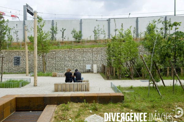 Paris plante sa premiere foret amenagee sur les delaisses du boulevard peripherique