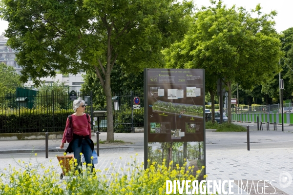 Paris plante sa premiere foret amenagee sur les delaisses du boulevard peripherique