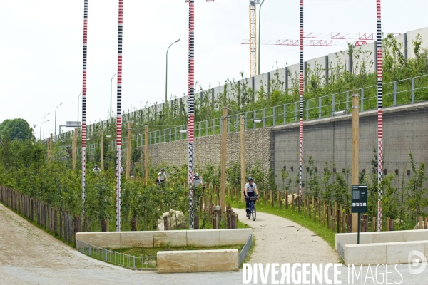 Paris plante sa premiere foret amenagee sur les delaisses du boulevard peripherique