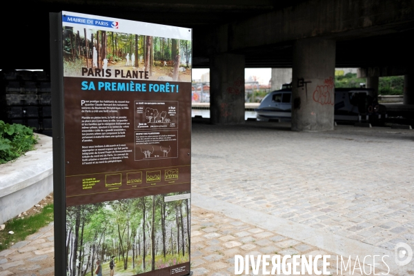 Paris plante sa premiere foret amenagee sur les delaisses du boulevard peripherique