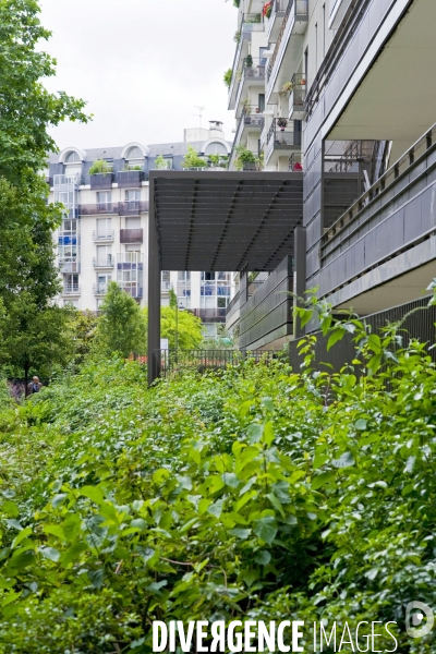 La Maire de Paris inaugure un nouveau jardin, du 15e arrondissement.  D ici 2020, ce sont 30 hectares d espaces verts supplémentaires qui vont être aménager.