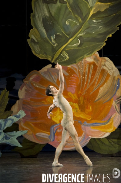 Psyché de Alexei Ratmansky