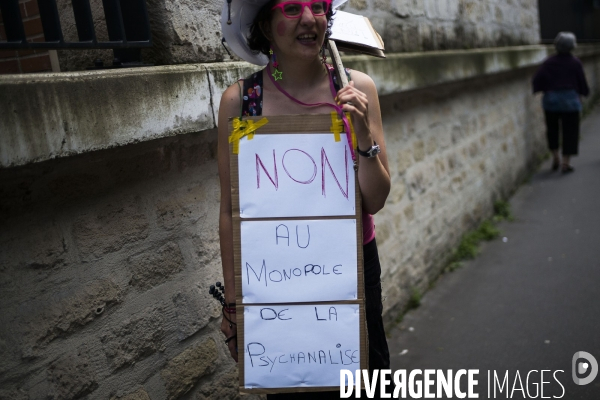 Premiere   Mad pride  en France.